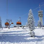 Mustang Klinovec 公寓 Loučná pod Klínovcem