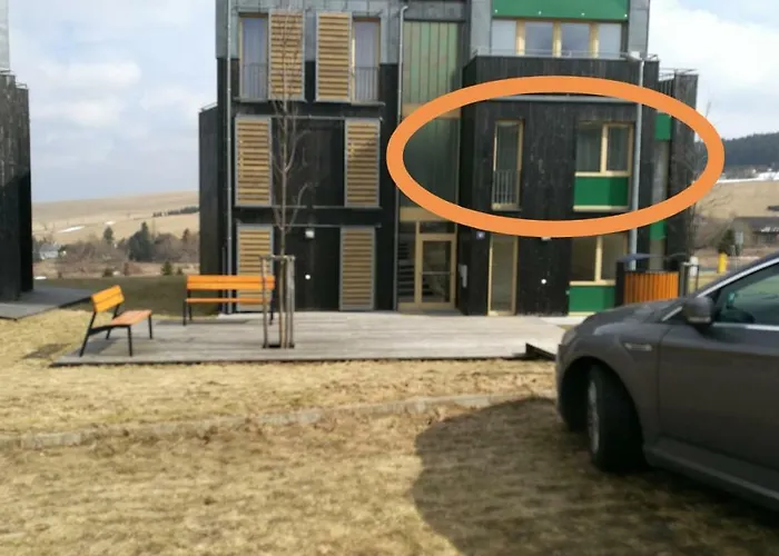 Mustang Klinovec Daire